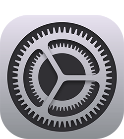 settings icon